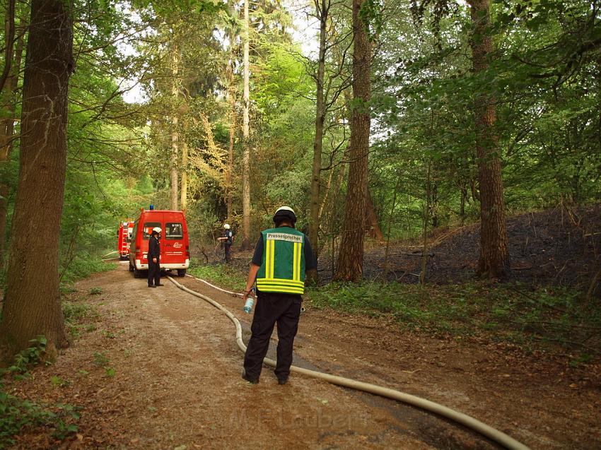 Waldbrand Bergisch Gladbach Bensberg P048.JPG